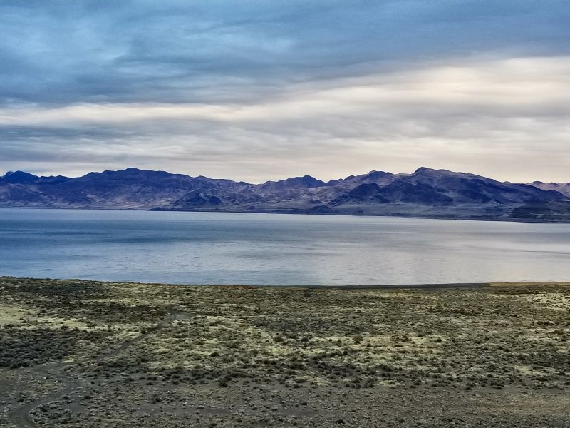 A Return to Fly Fishing Pyramid Lake - Busted Oarlock