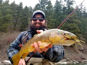 rock creek montana brown trout