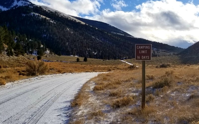 Montana hunting regulations