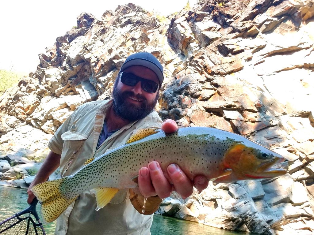 Alberta trout fishing