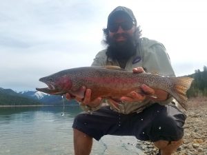 lake fly fishing, rainbow trout