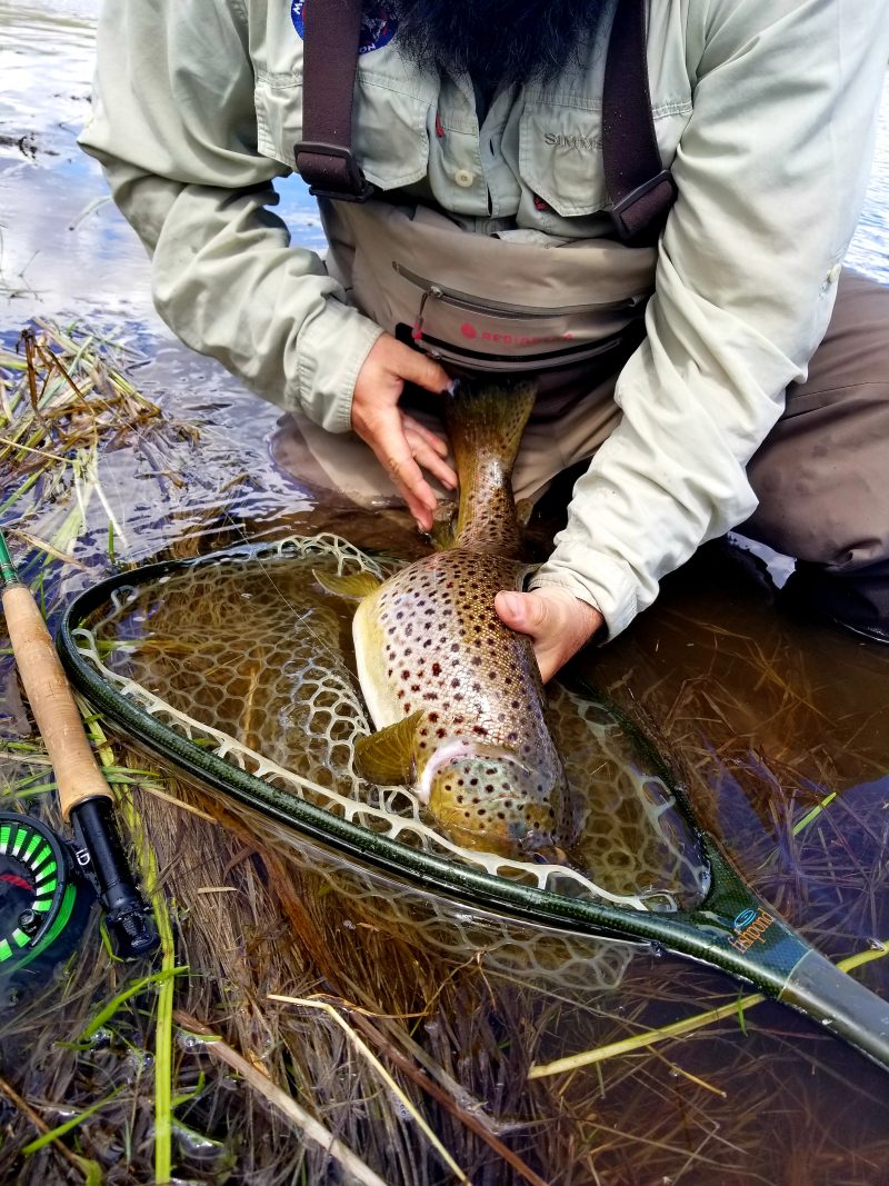 Montana Fly Fishing Trip: 3 Days of Awesome - Busted Oarlock