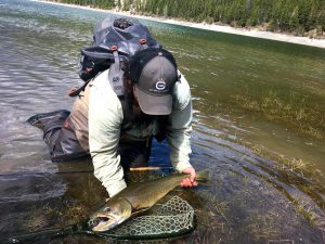 fly fishing for bull trout