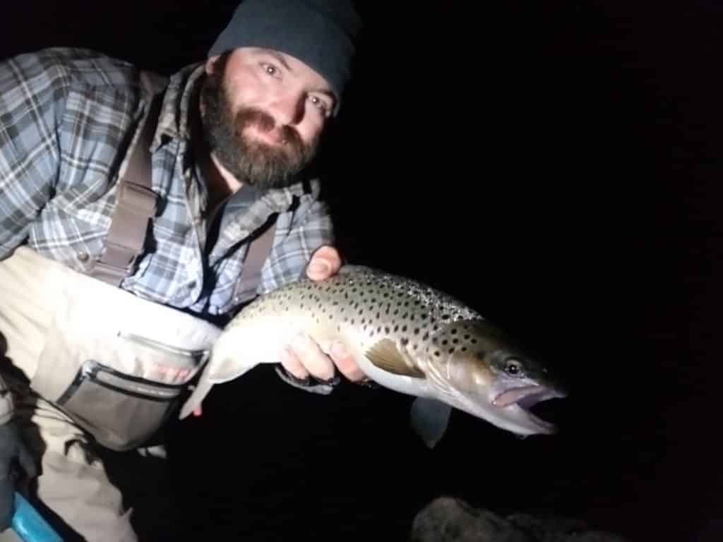 fly fishing for brown trout at night