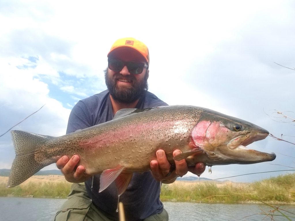 montana rainbow trout