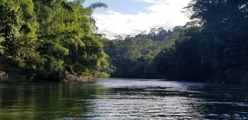 ecuador jungle rivers